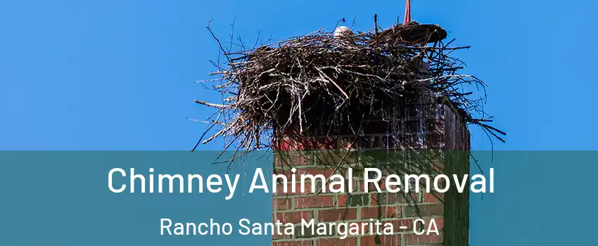  Chimney Animal Removal Rancho Santa Margarita - CA